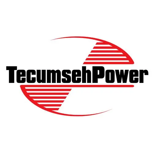 Tecumseh 730656 Camshaft Repair Kit for Small Engines